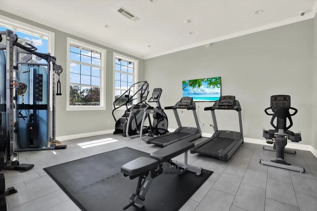 7217 Blue Beech Drive Riverview FL 33578