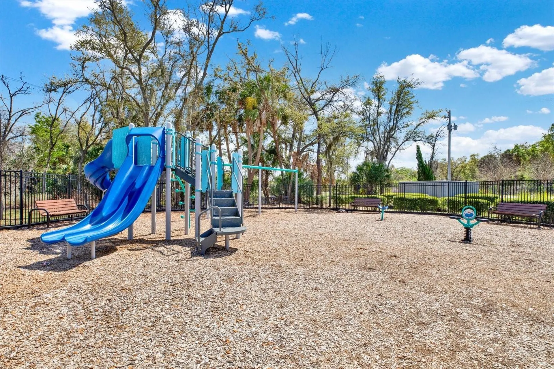 7217 Blue Beech Drive Riverview FL 33578