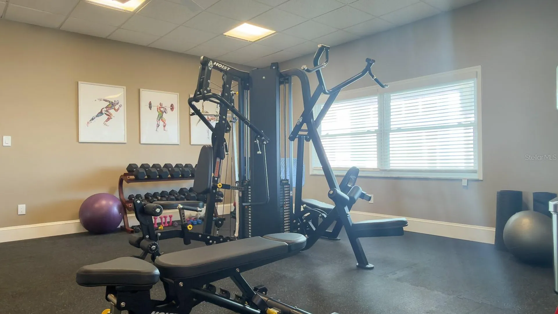 8 Glencoe Place Dunedin FL 34698