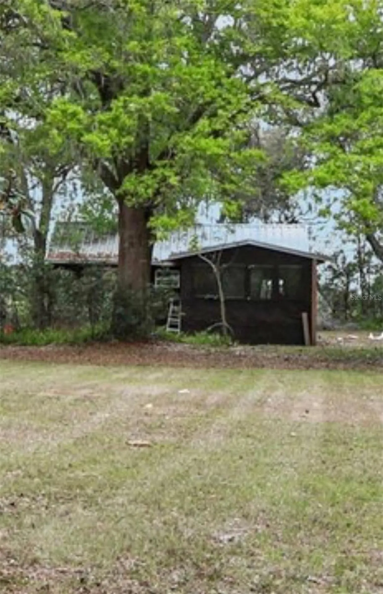 35929 Valleybrook Avenue Zephyrhills FL 33541