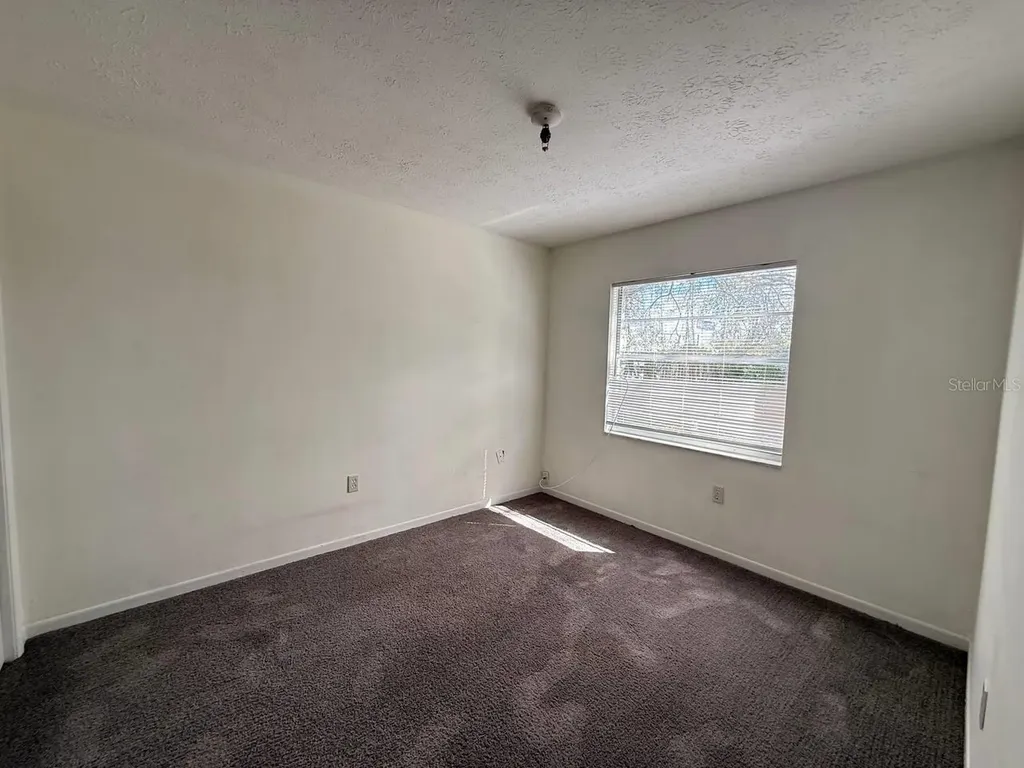 8505 N Tampa Street Tampa FL 33604