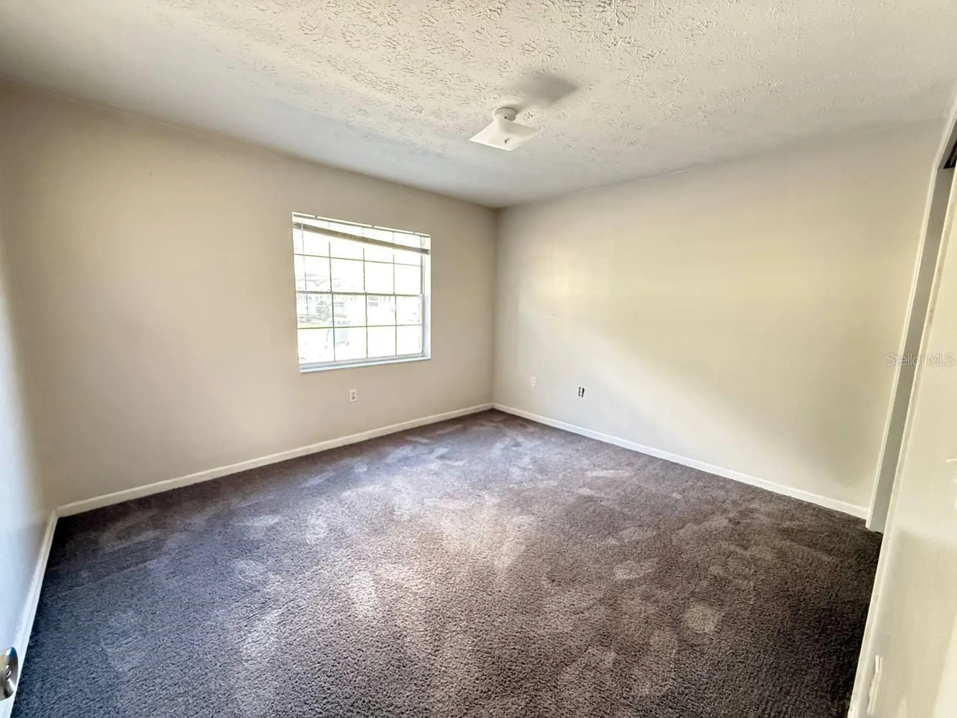 8505 N Tampa Street Tampa FL 33604
