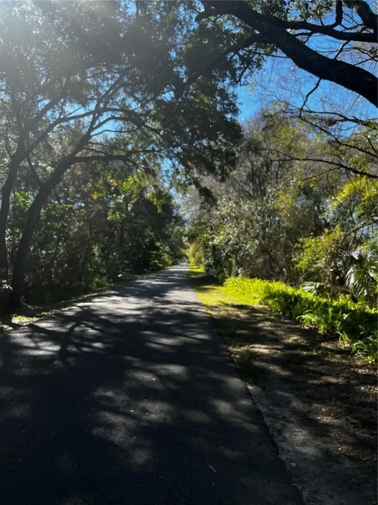 310 Skytrail Tampa FL 33625