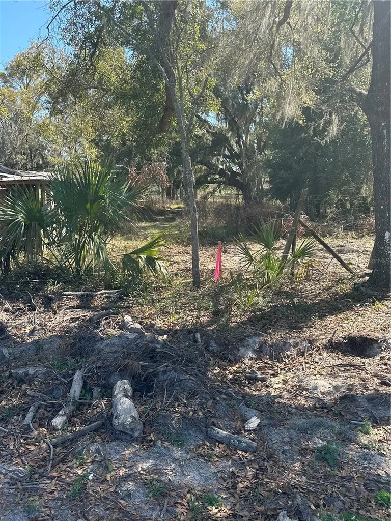 NE 688th Avenue Cross City FL 32628