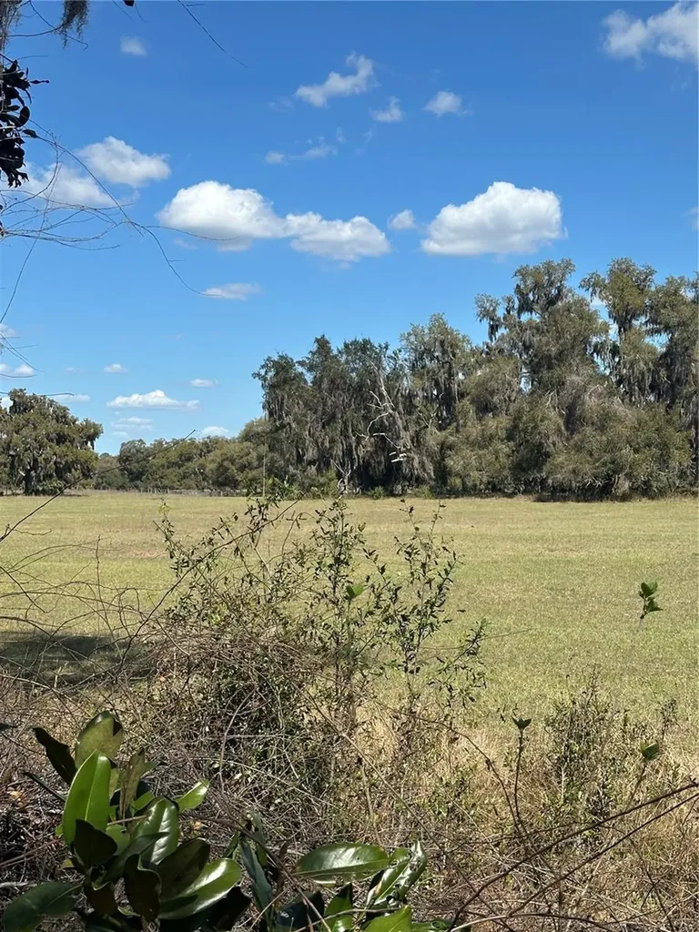NE 688th Avenue Cross City FL 32628