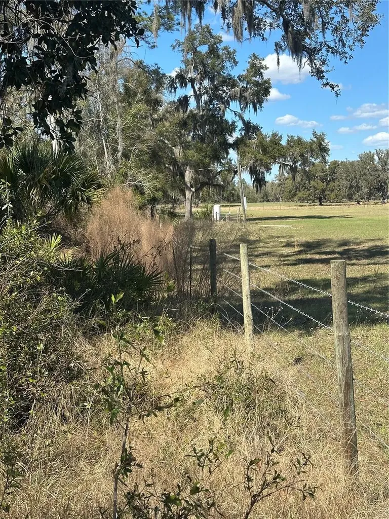 NE 688th Avenue Cross City FL 32628