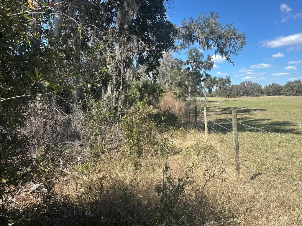 NE 688th Avenue Cross City FL 32628
