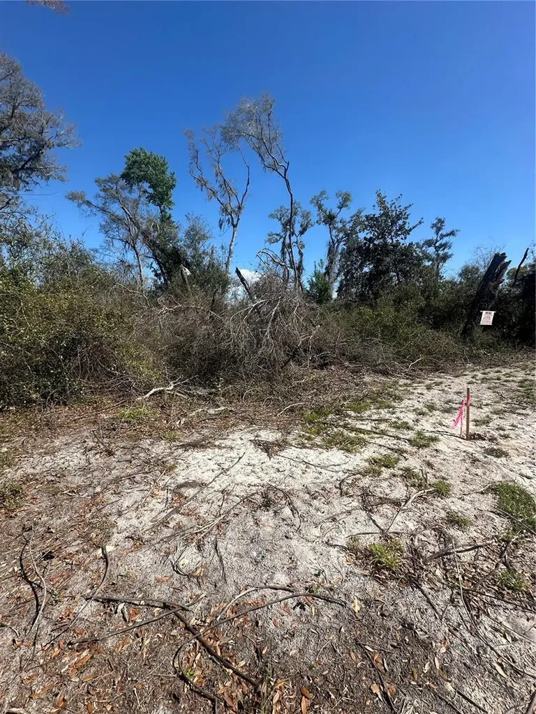 NE 688th Avenue Cross City FL 32628