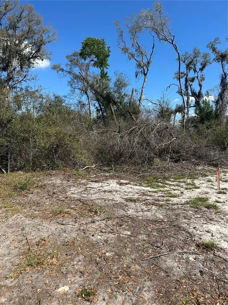 NE 688th Avenue Cross City FL 32628