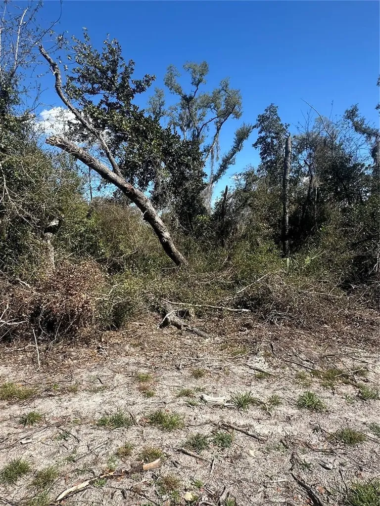 NE 688th Avenue Cross City FL 32628