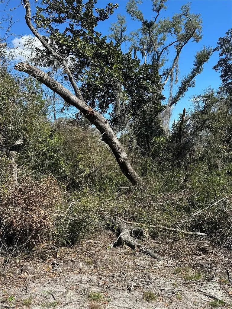 NE 688th Avenue Cross City FL 32628