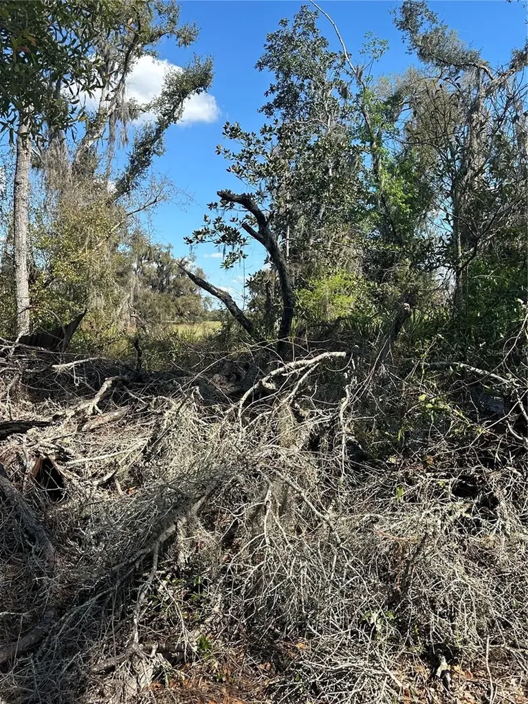 NE 688th Avenue Cross City FL 32628