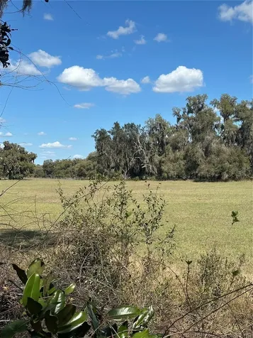NE 688th Avenue Cross City FL 32628