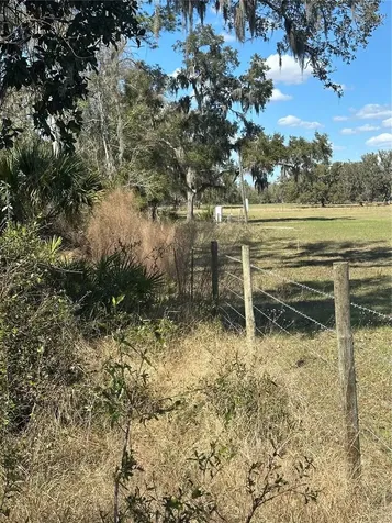 NE 688th Avenue Cross City FL 32628