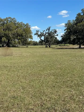 NE 688th Avenue Cross City FL 32628