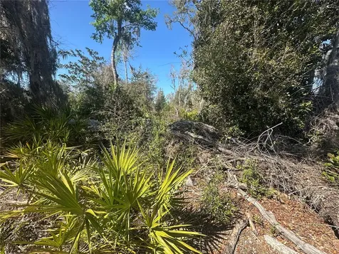 NE 688th Avenue Cross City FL 32628