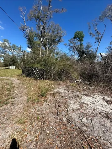 NE 688th Avenue Cross City FL 32628