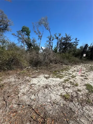 NE 688th Avenue Cross City FL 32628