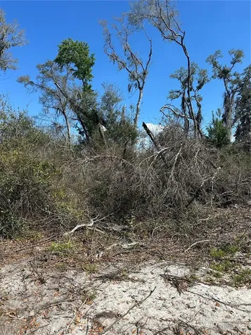 NE 688th Avenue Cross City FL 32628