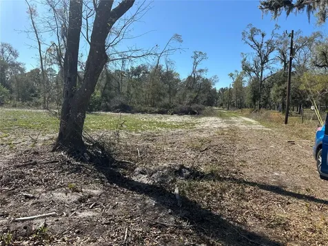 NE 688th Avenue Cross City FL 32628