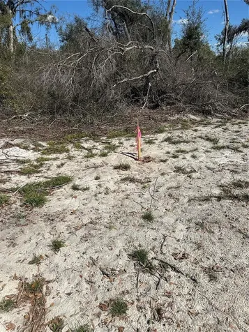 NE 688th Avenue Cross City FL 32628