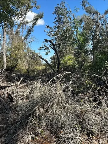 NE 688th Avenue Cross City FL 32628