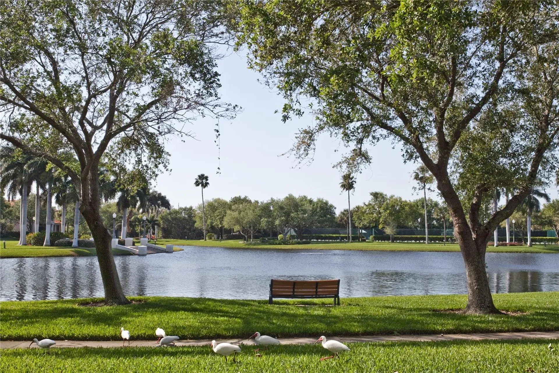 4717 Dolphin Cay Lane S St Petersburg FL 33711