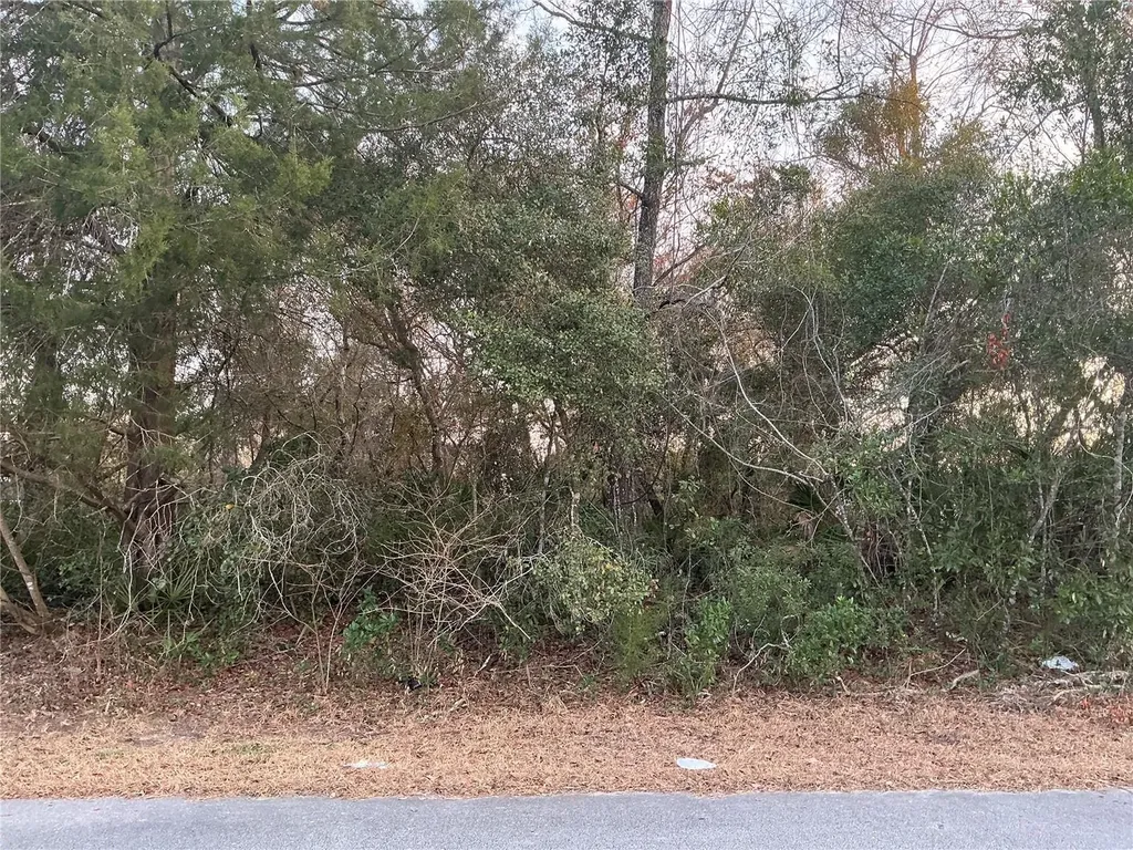 SW 138th Street Ocala FL 34473