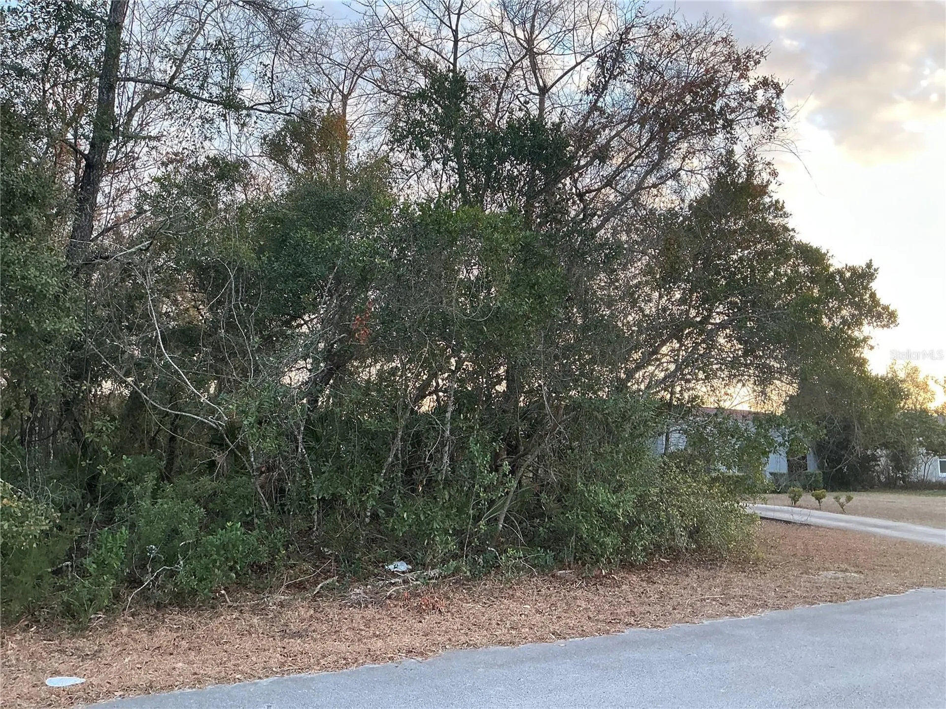 SW 138th Street Ocala FL 34473