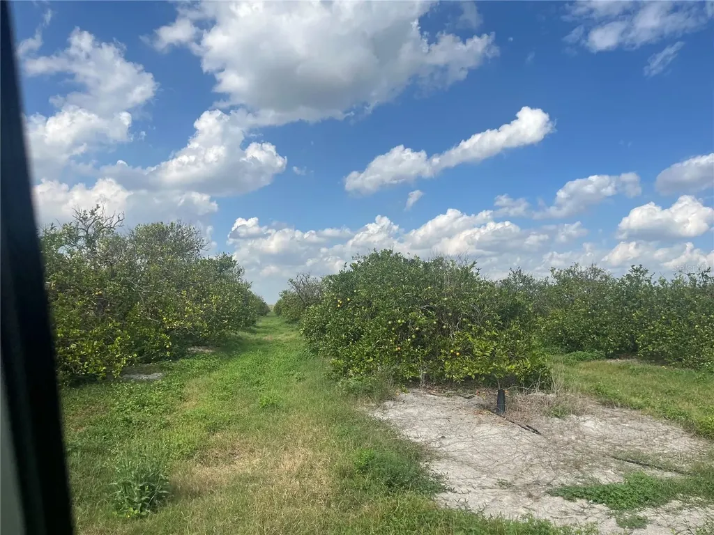 NE Highway 70 Arcadia FL 34266