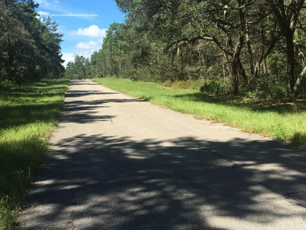45TH Terrace Road Ocala FL 34473