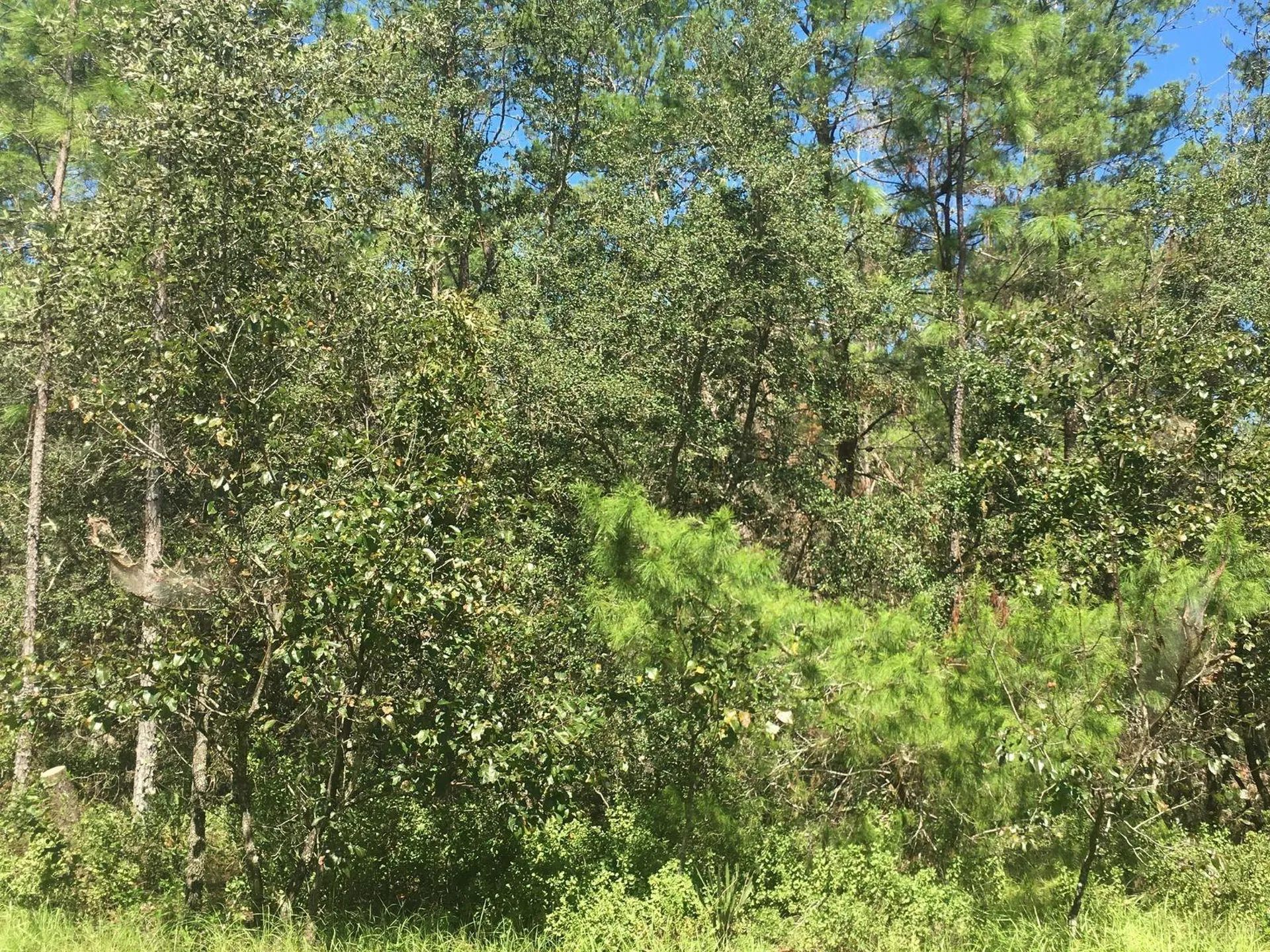 45TH Terrace Road Ocala FL 34473
