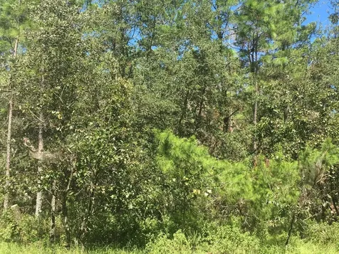 45TH Terrace Road Ocala FL 34473
