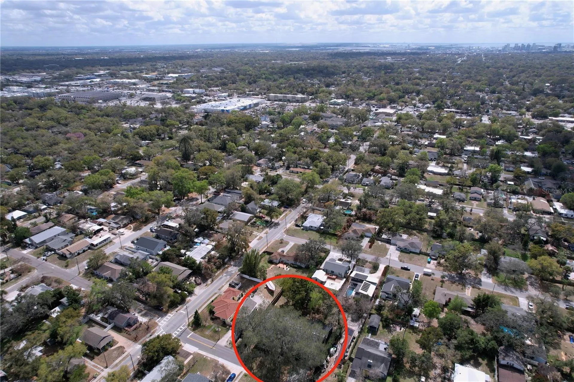 1415 E Idlewild Avenue Tampa FL 33604