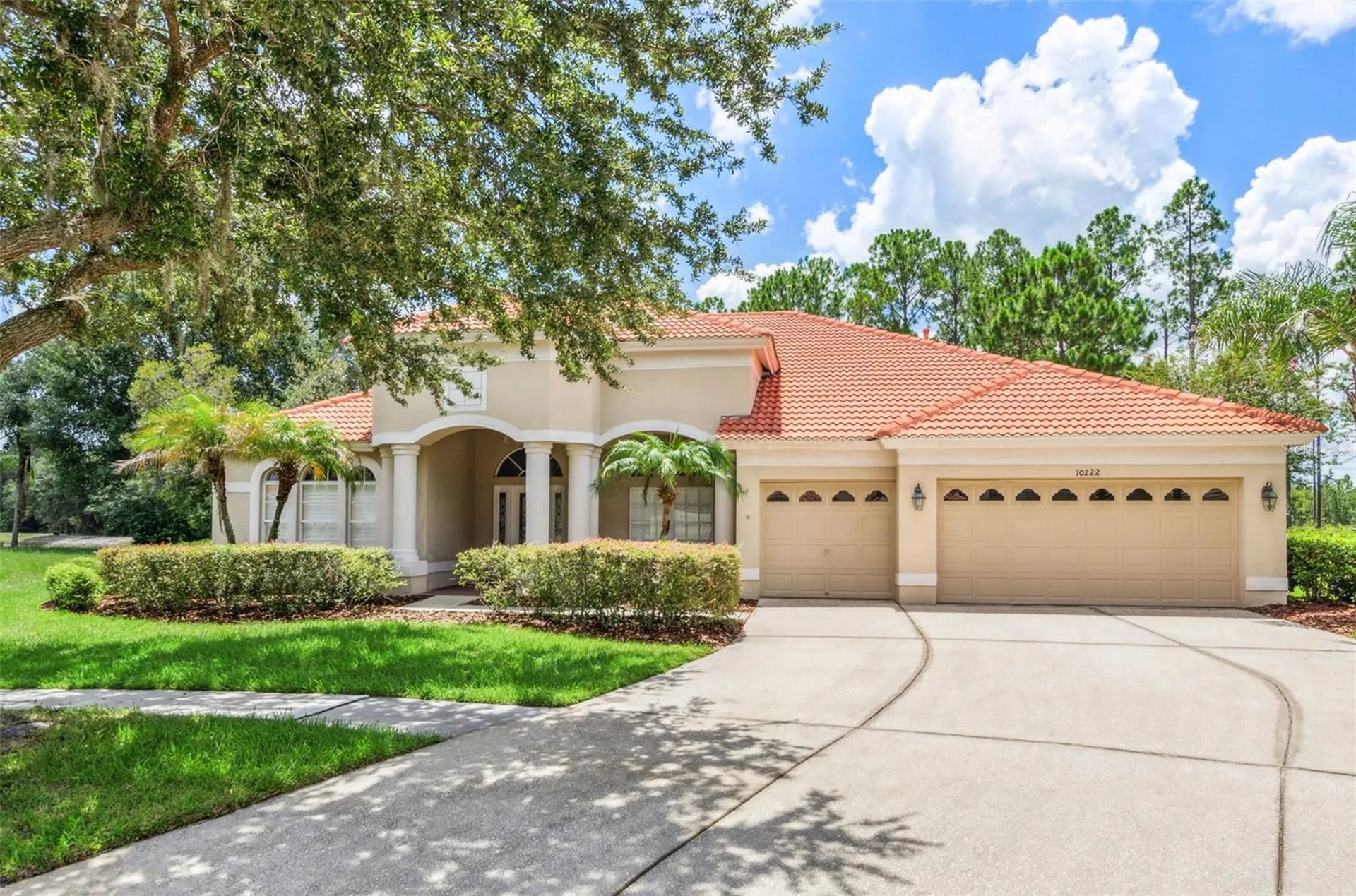 10222 Arbor Side Drive Tampa FL 33647