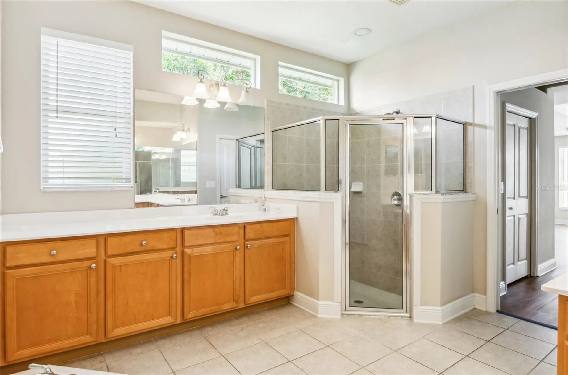 10222 Arbor Side Drive Tampa FL 33647