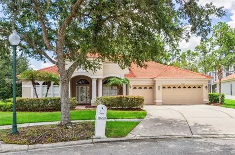 10222 Arbor Side Drive Tampa FL 33647