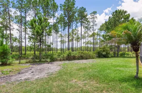 10222 Arbor Side Drive Tampa FL 33647