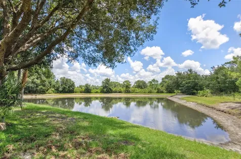 10222 Arbor Side Drive Tampa FL 33647