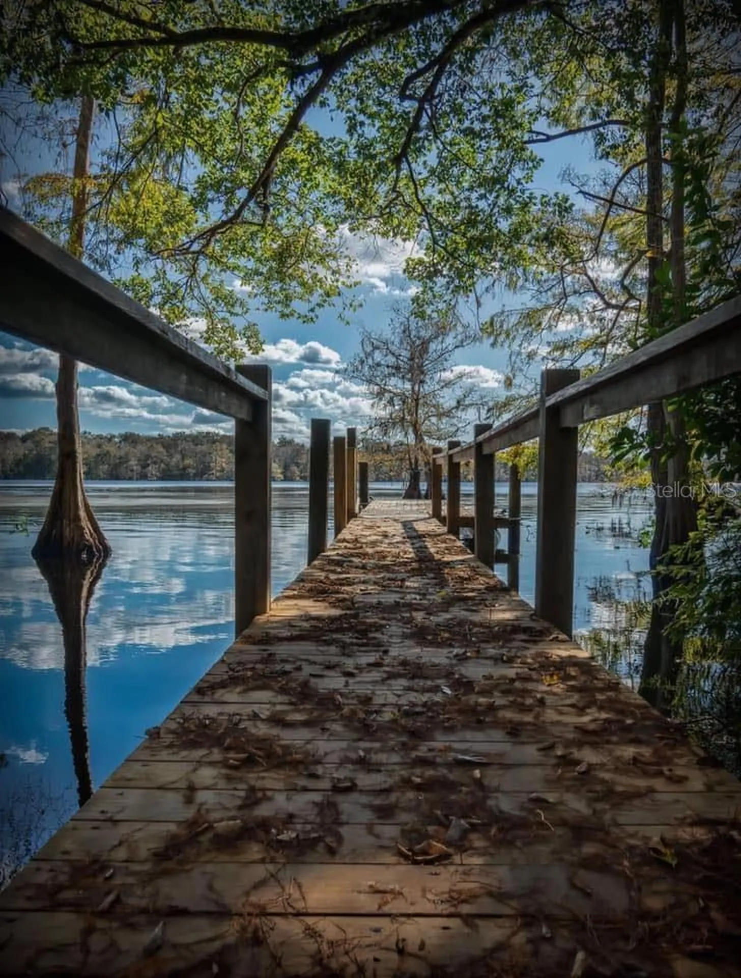 39641 Royal Trails Road Eustis FL 32736