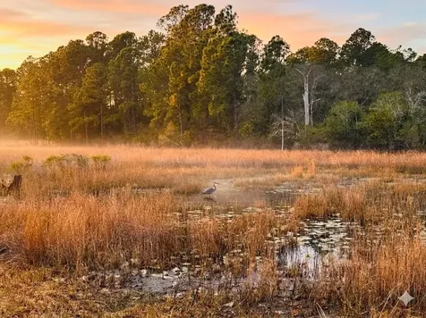 39641 Royal Trails Road Eustis FL 32736