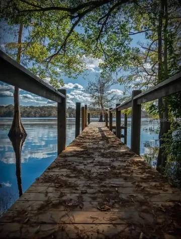 39641 Royal Trails Road Eustis FL 32736