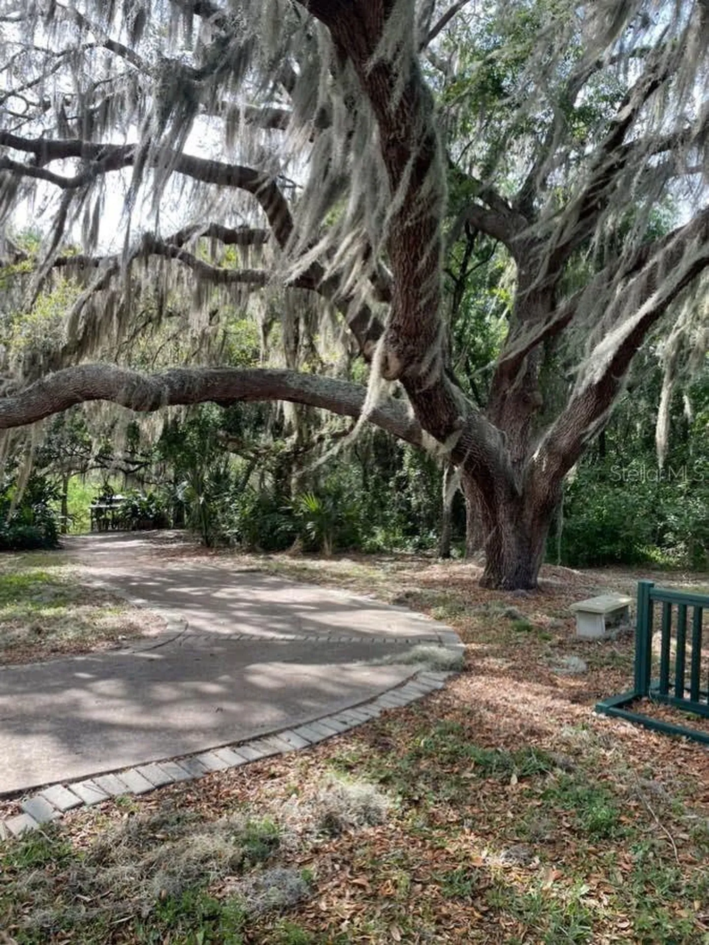 26903 Honeymoon Avenue Leesburg FL 34748