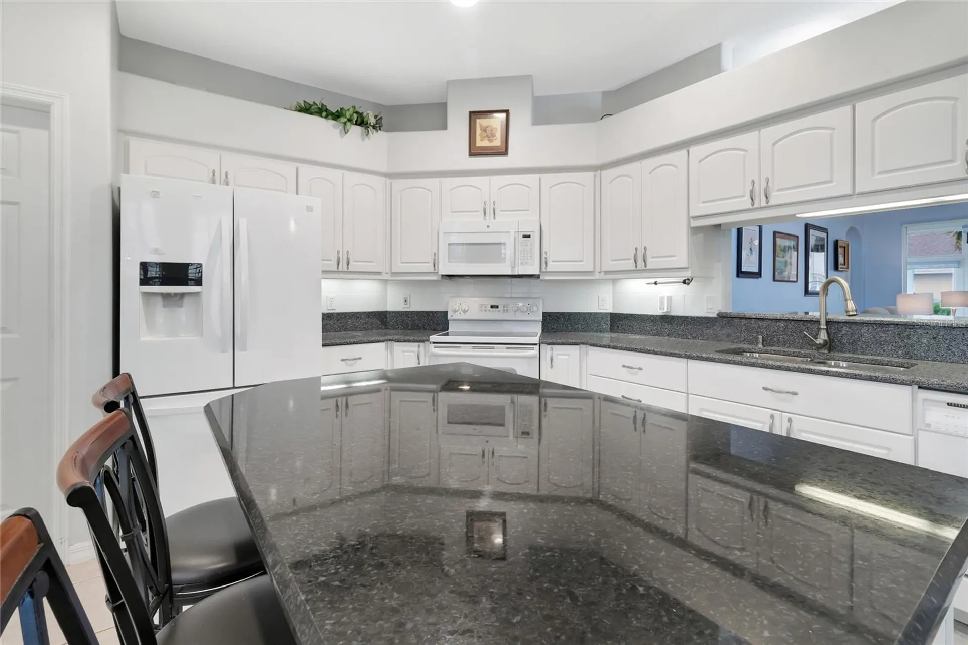 26903 Honeymoon Avenue Leesburg FL 34748