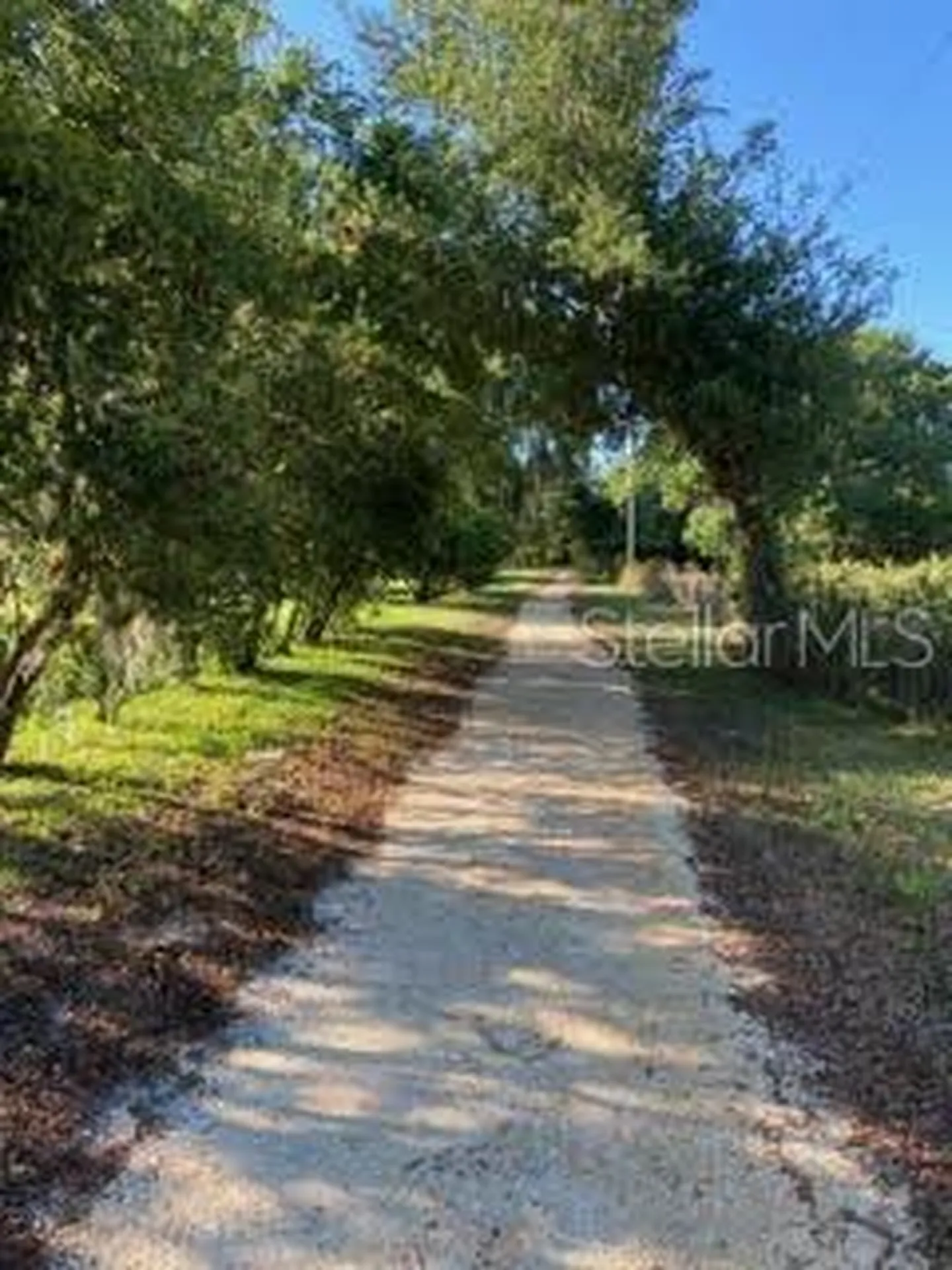 26903 Honeymoon Avenue Leesburg FL 34748