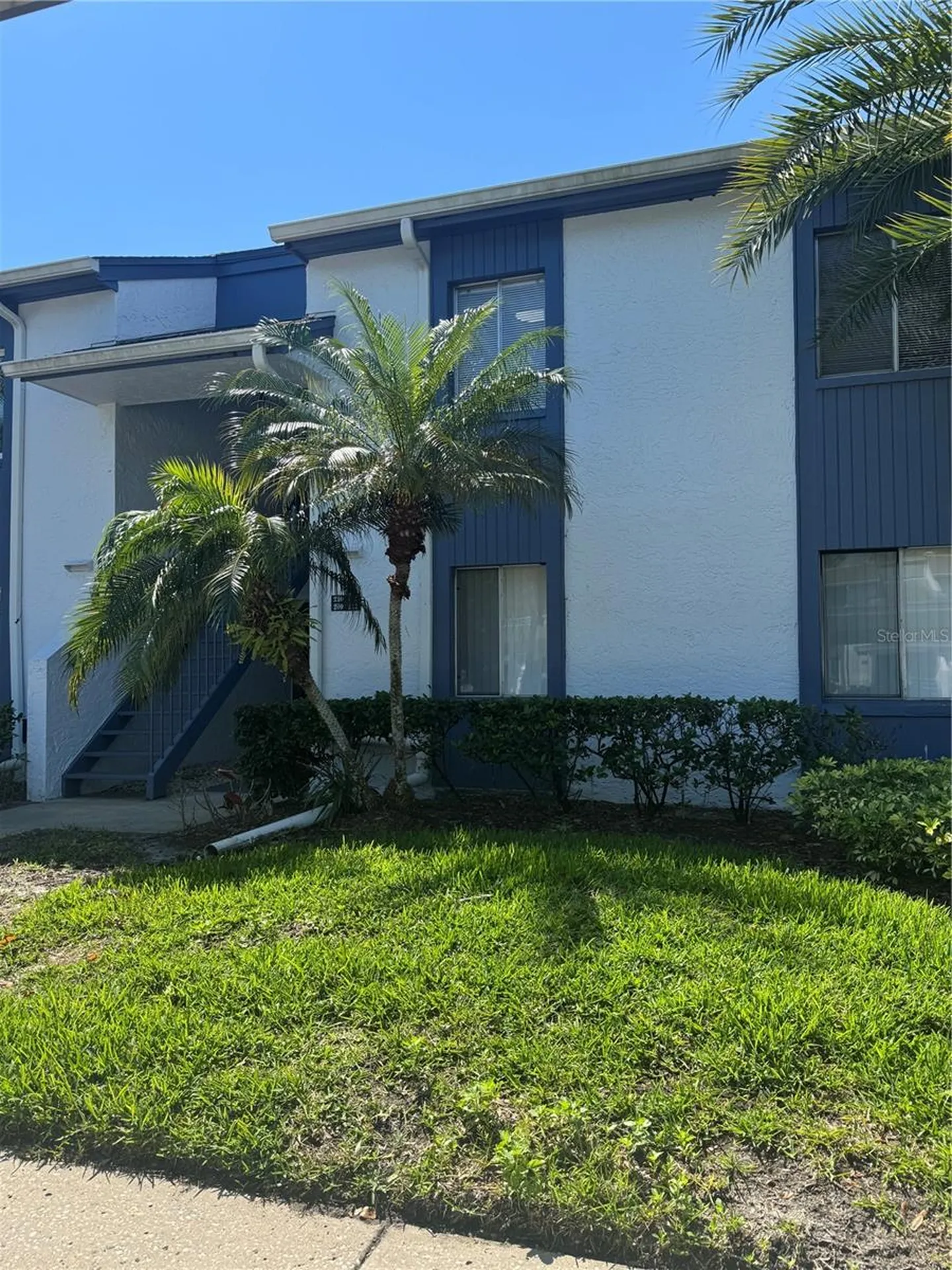 212 Cypress Lane Oldsmar FL 34677