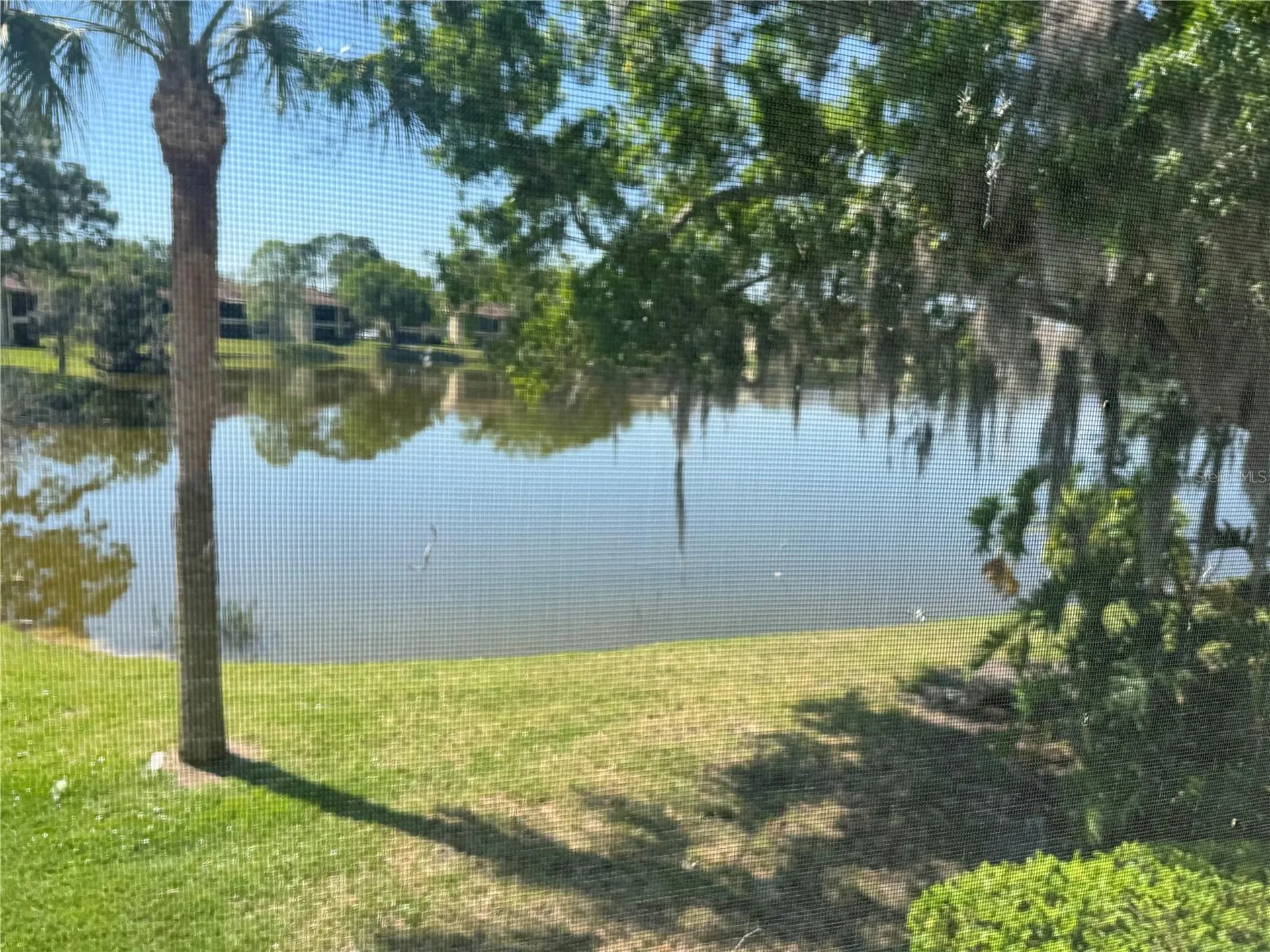 212 Cypress Lane Oldsmar FL 34677