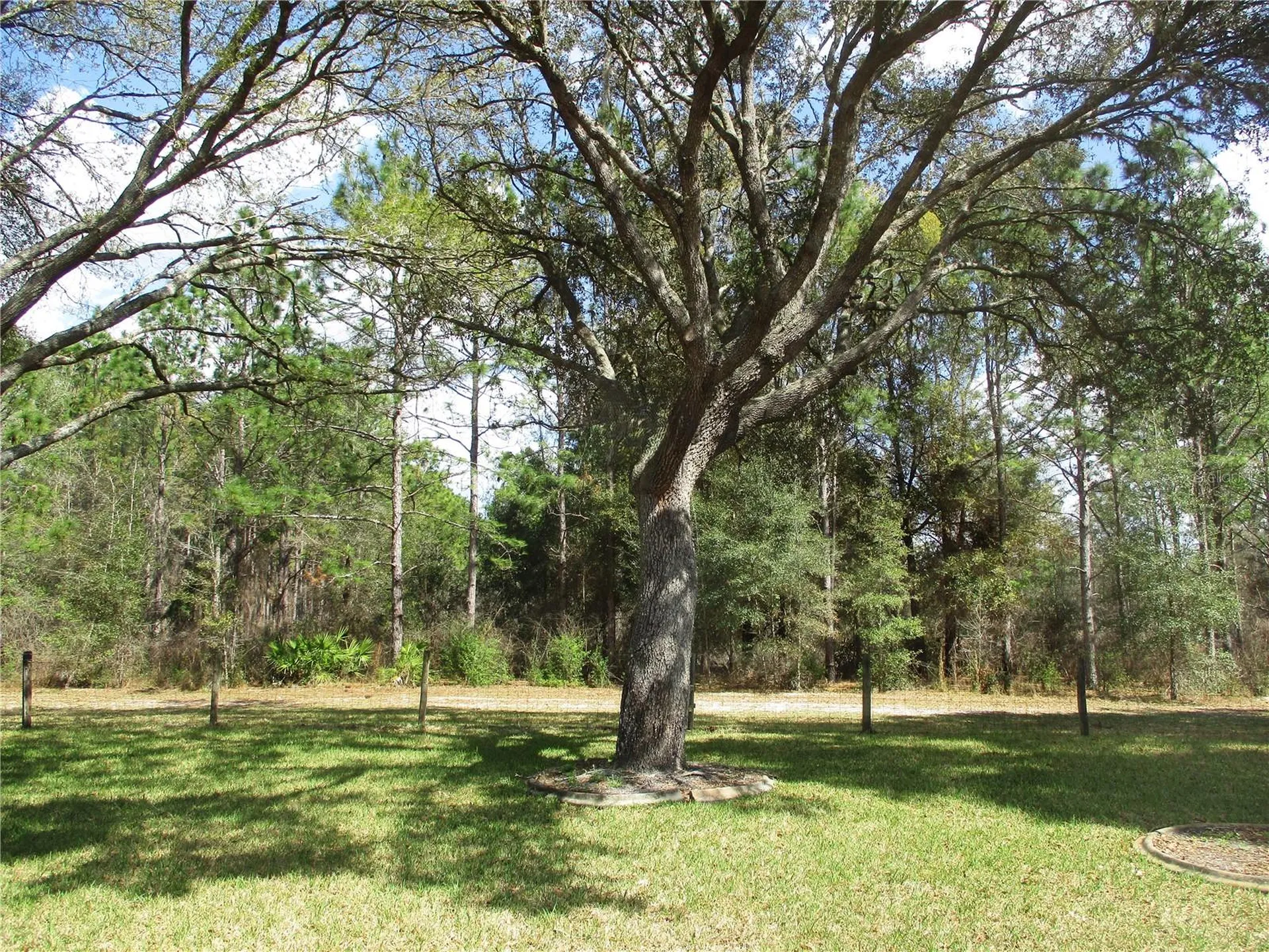 14464 SW 112th Circle Dunnellon FL 34432