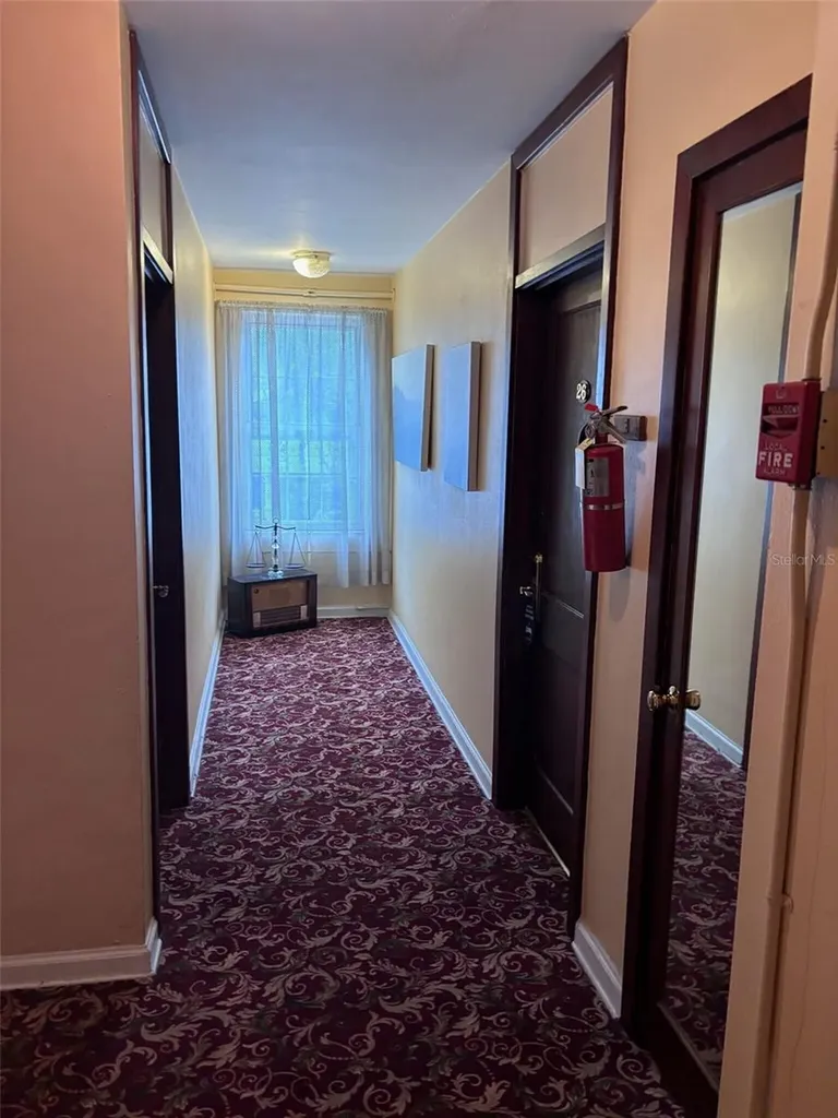 St Petersburg FL 33701