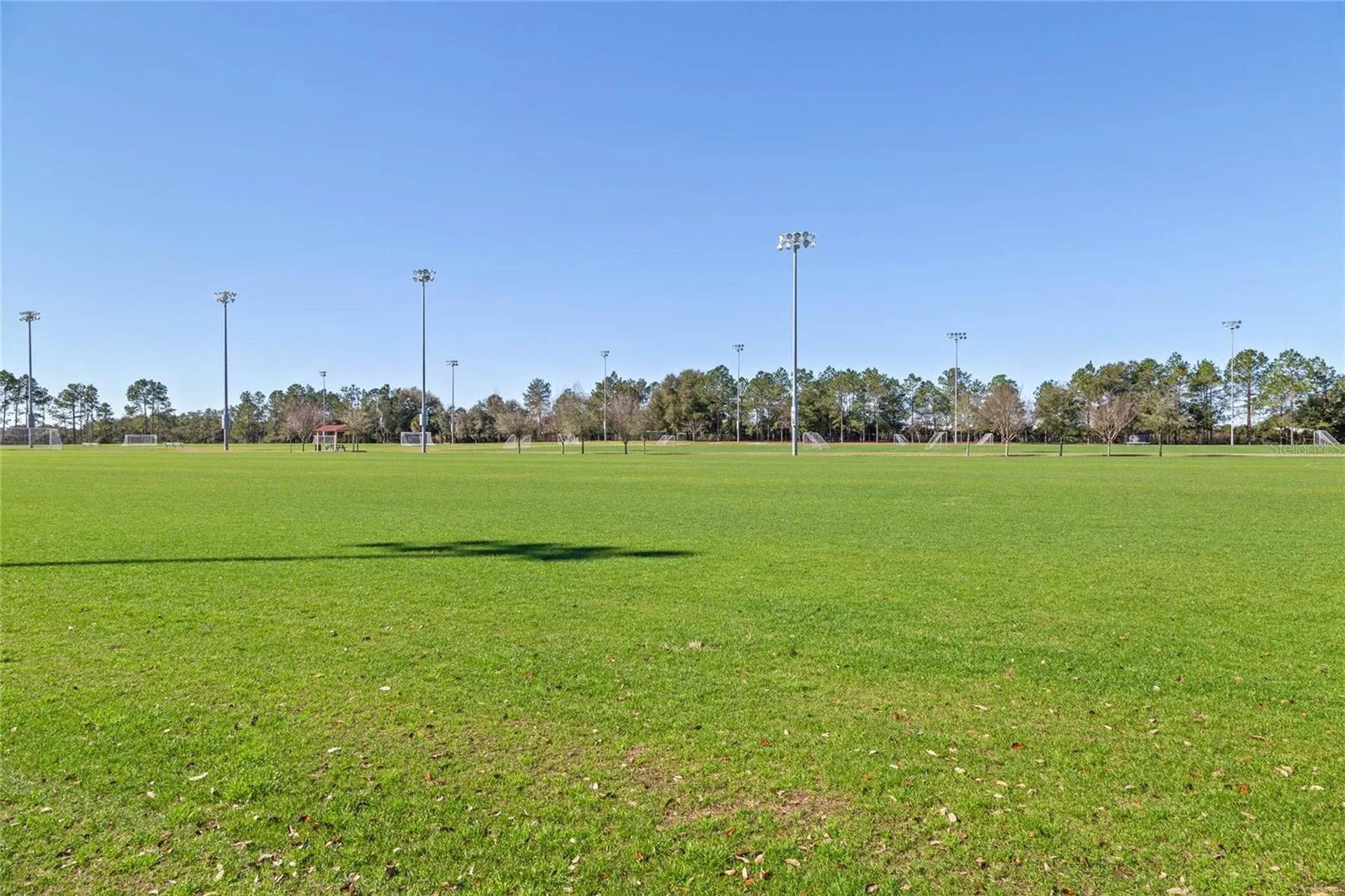 1533 Spinfisher Drive Apopka FL 32712